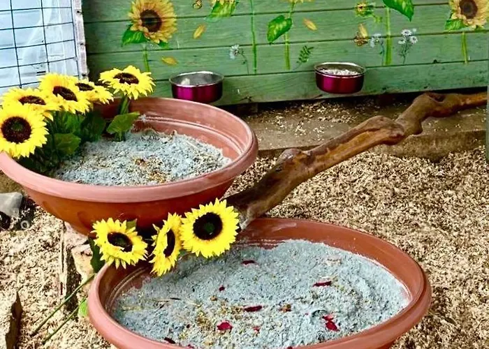 Ettore Villa Giuliano Teatino