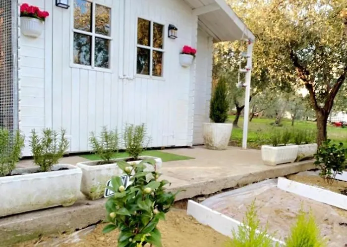 Ettore * Giuliano Teatino