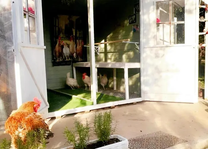 Ettore Giuliano Teatino